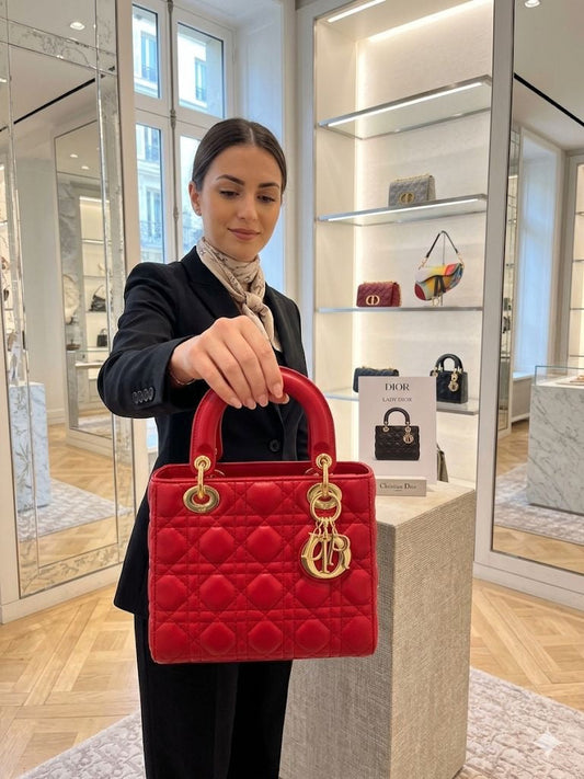 Luxury Lady hand bag