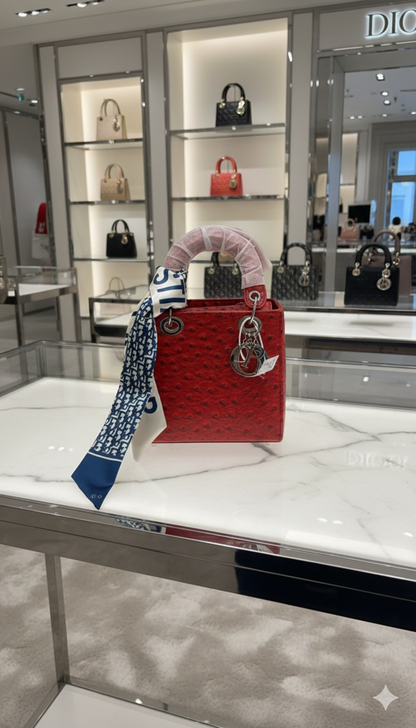 Luxury Lady hand bag