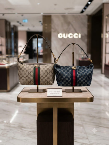 Luxury handbag for women