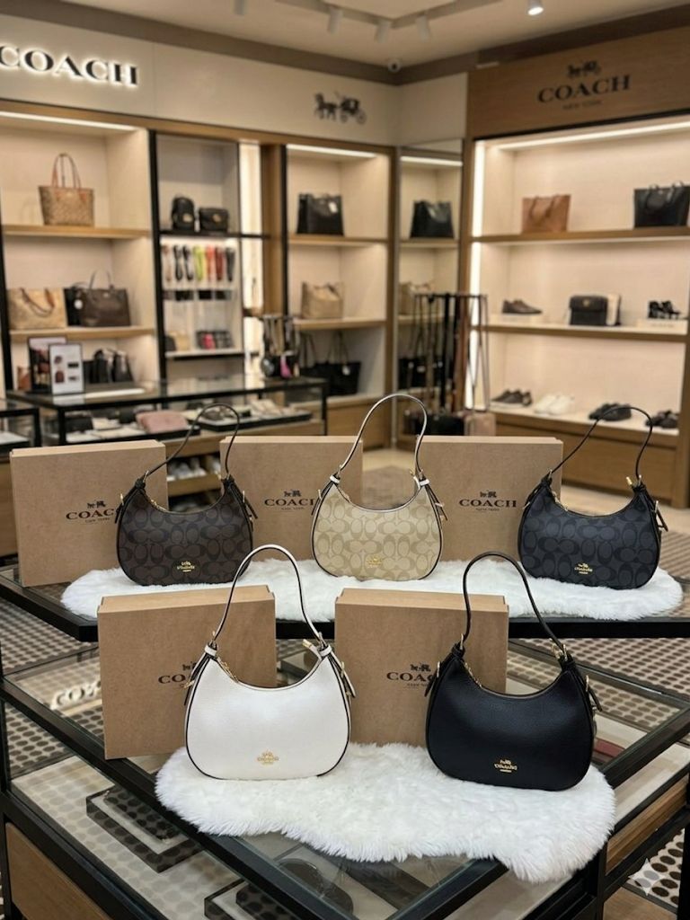 Luxury hobo bag with brand box