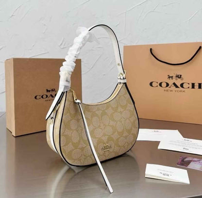 Luxury hobo bag with brand box
