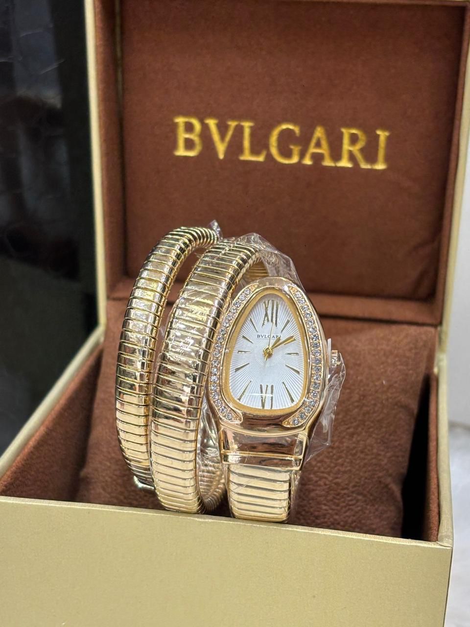 Snake Design luxury Watch for Women (g)